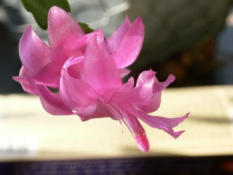 100320_004.jpg