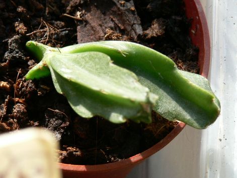 100320_018.jpg
