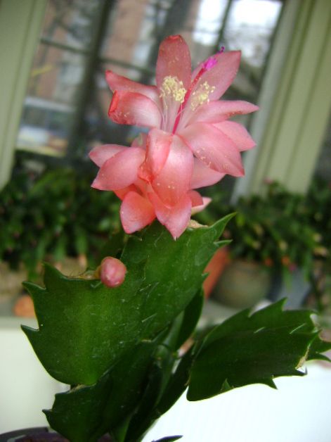 nov.20_034.jpg